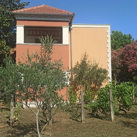 Apartments Rolovina Tivat Dış mekan fotoğraf