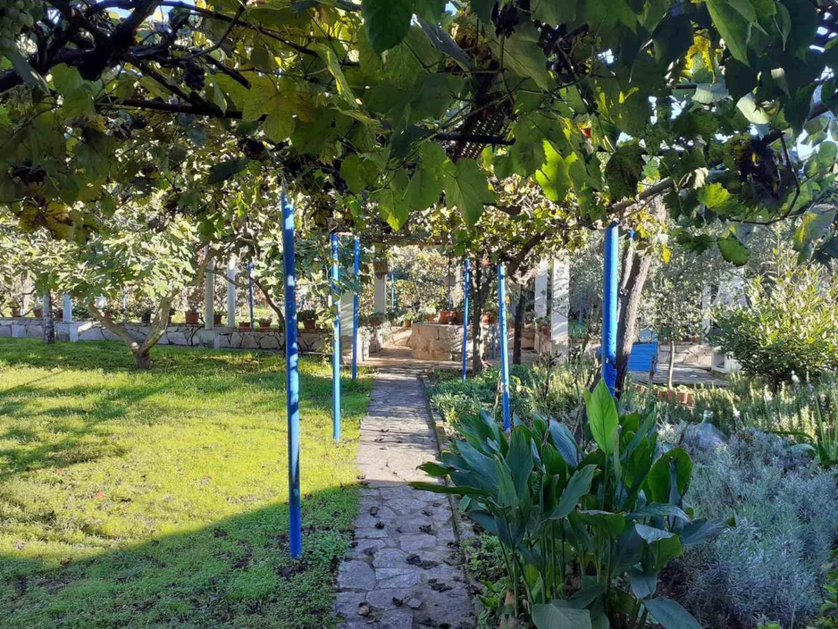 Apartments Rolovina Tivat Dış mekan fotoğraf