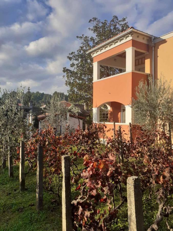 Apartments Rolovina Tivat Dış mekan fotoğraf