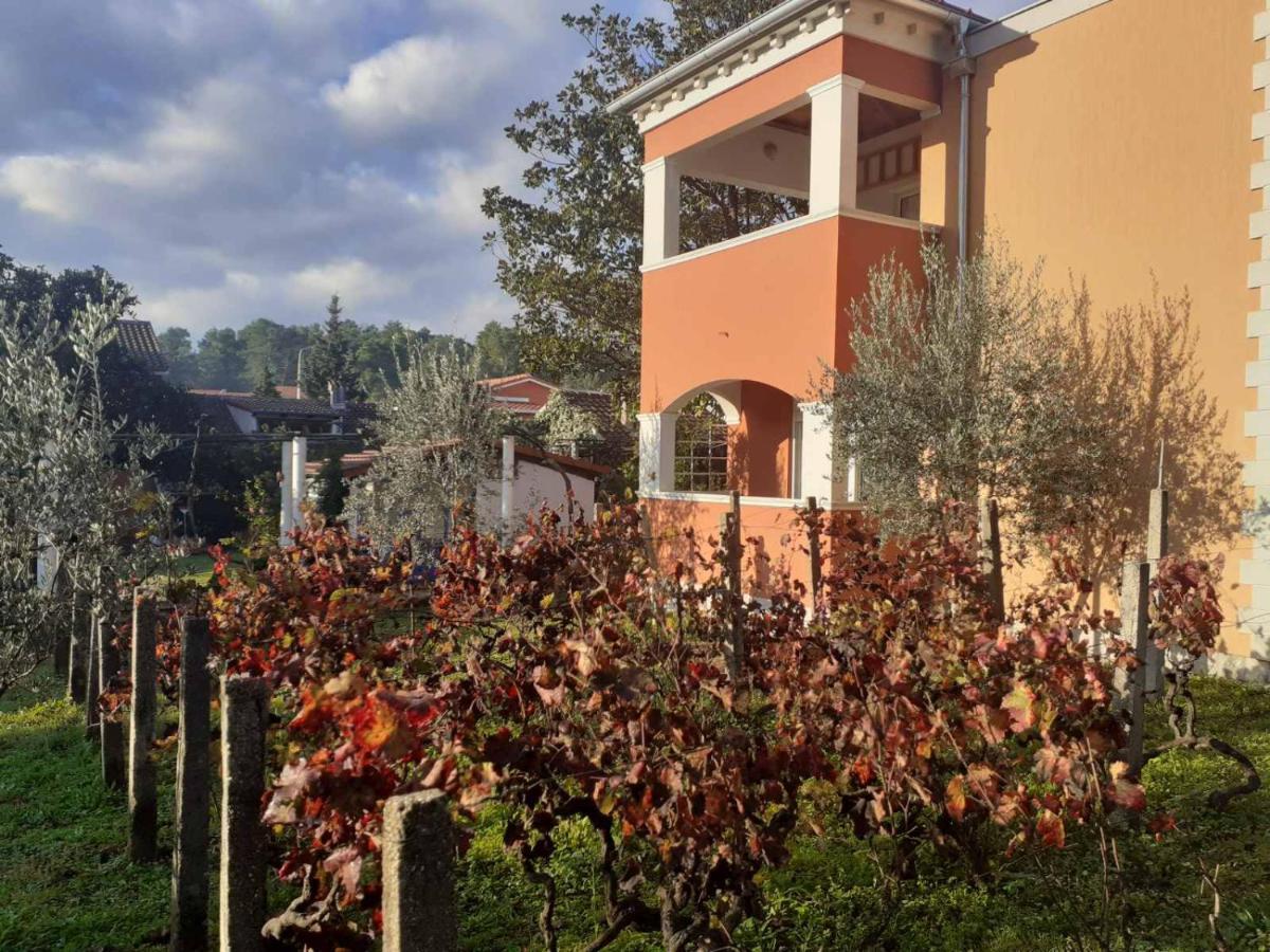 Apartments Rolovina Tivat Dış mekan fotoğraf