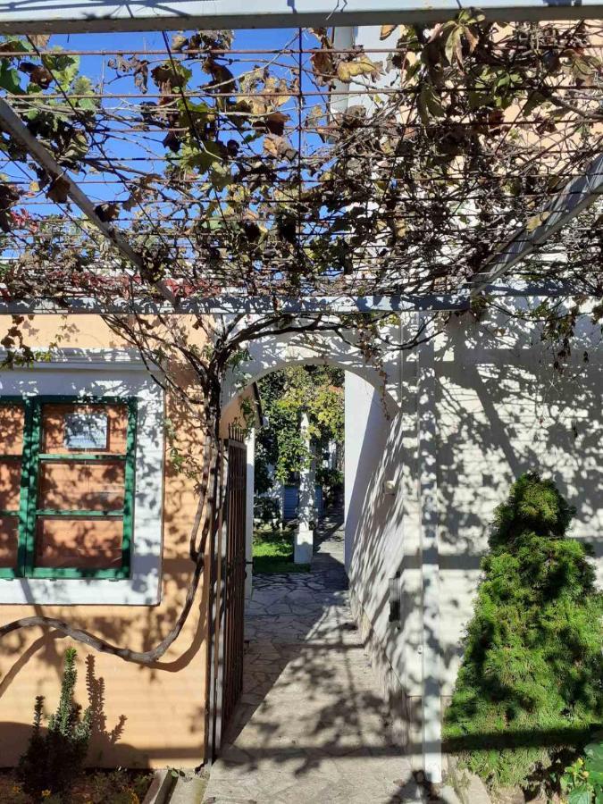 Apartments Rolovina Tivat Dış mekan fotoğraf