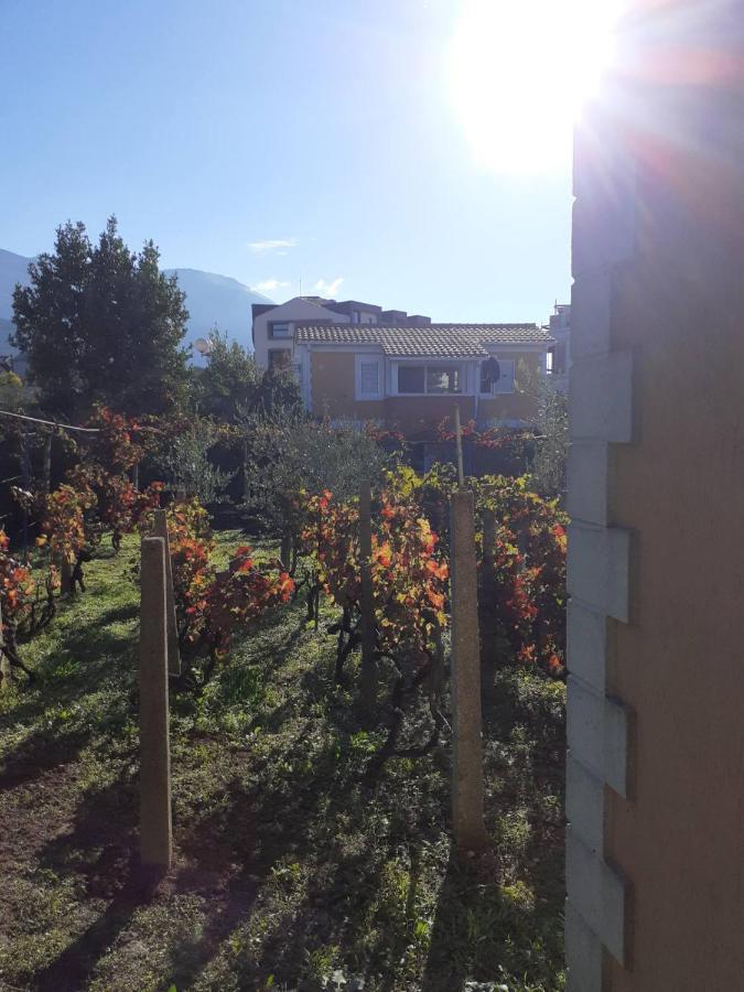 Apartments Rolovina Tivat Dış mekan fotoğraf