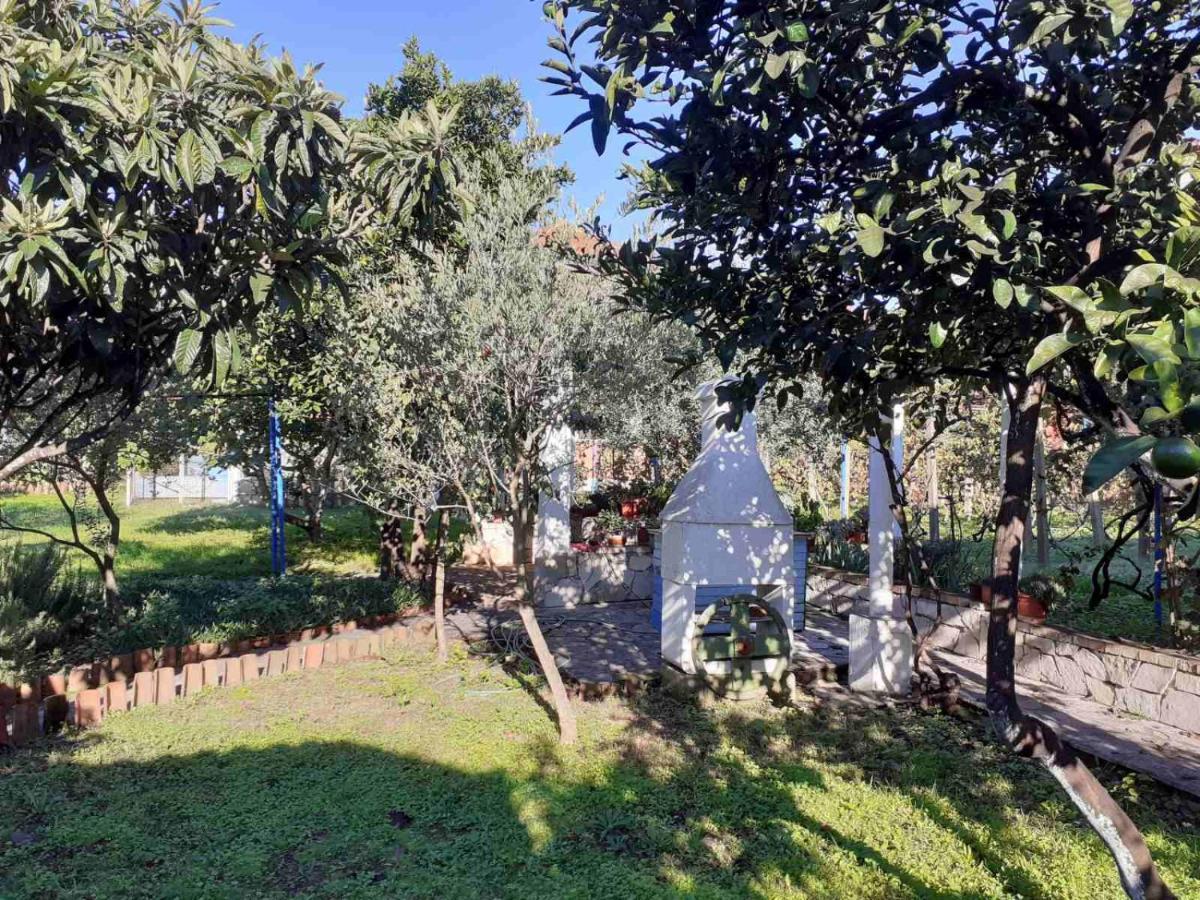 Apartments Rolovina Tivat Dış mekan fotoğraf