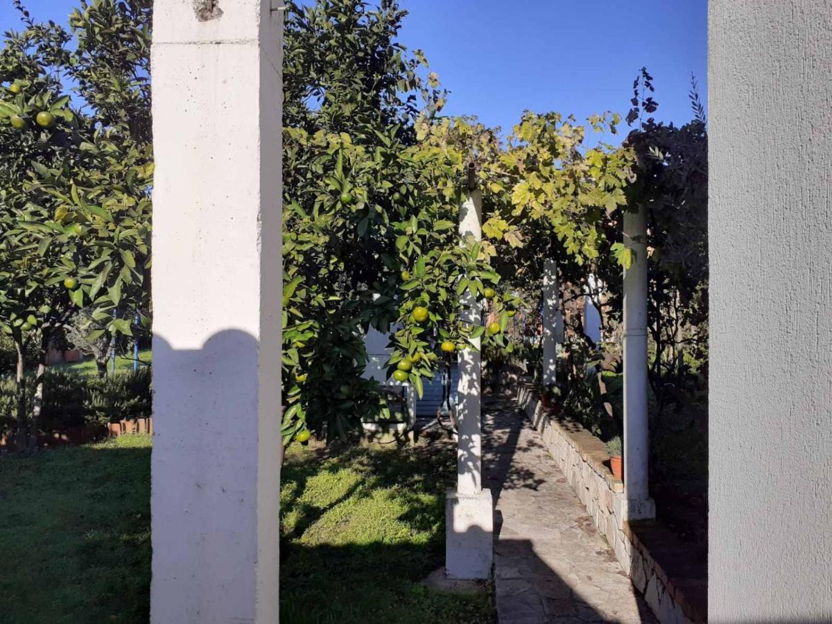 Apartments Rolovina Tivat Dış mekan fotoğraf