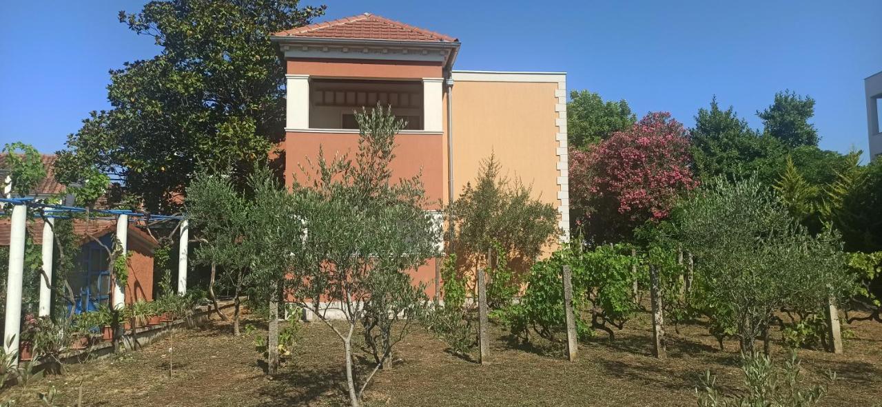 Apartments Rolovina Tivat Dış mekan fotoğraf