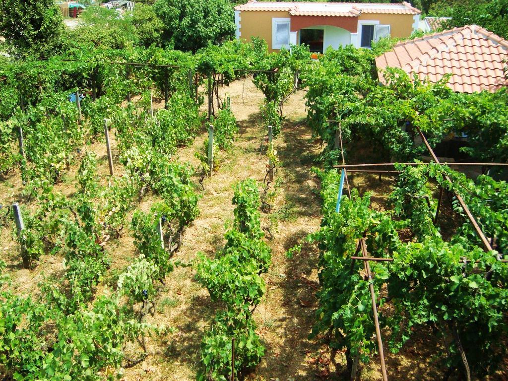 Apartments Rolovina Tivat Oda fotoğraf