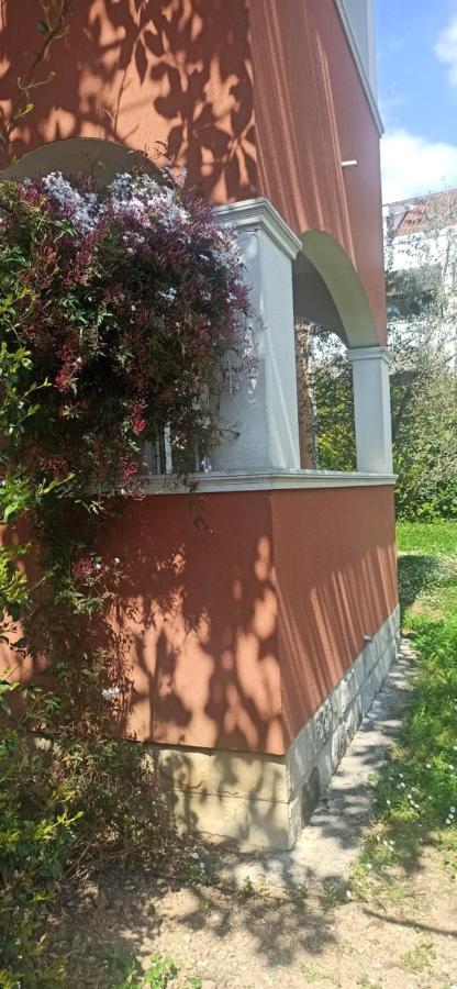 Apartments Rolovina Tivat Oda fotoğraf