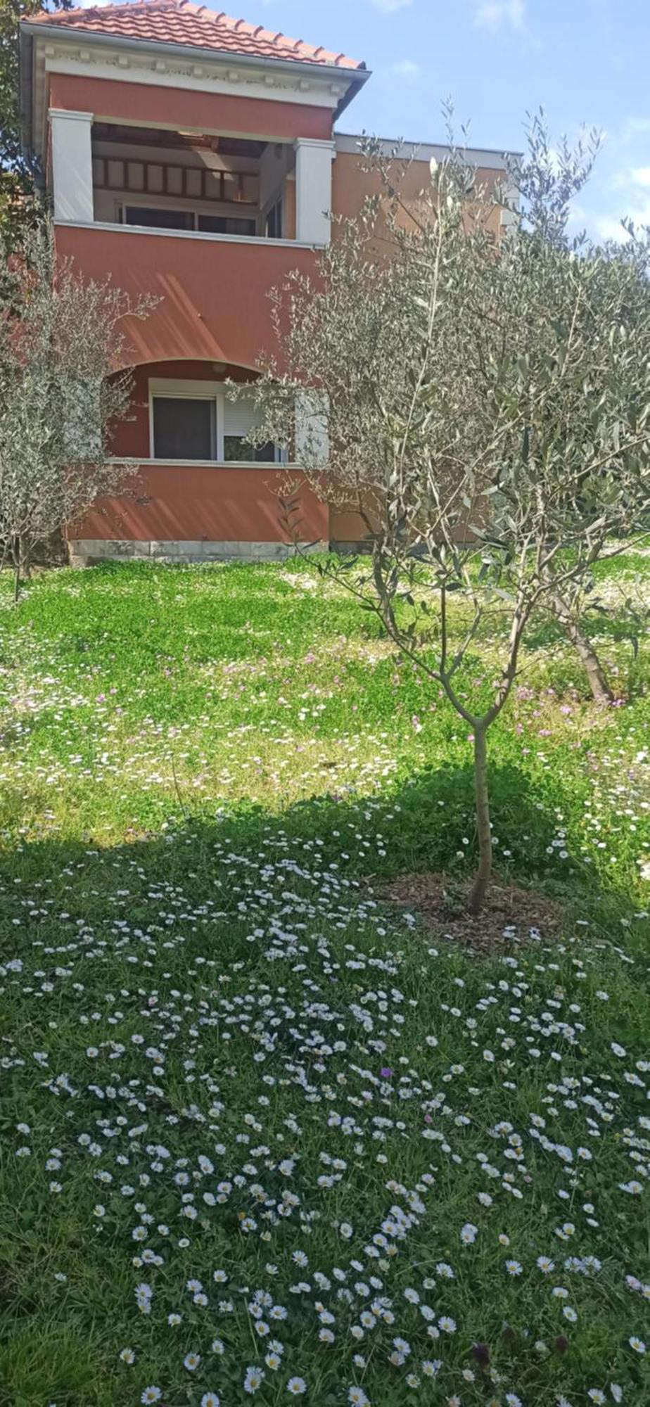 Apartments Rolovina Tivat Oda fotoğraf