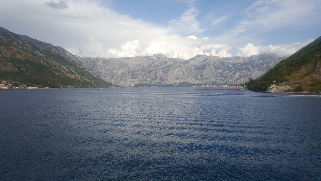 Apartments Rolovina Tivat Dış mekan fotoğraf
